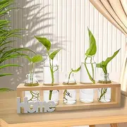 Plant Propagation,Desktop Glass Vase Station Retro Plant Terrarium with Wooden Tray Bulb Flower Vase Container Perfect for Propagating Hydroponic Plants Home Office Decor (Wood Base)