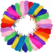 120 Pcs Colorful Goose Feathers 6-8 Inch for DIY Dream Catchers Wedding Decor