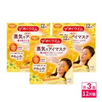 在飛比找PChome24h購物優惠-日本KAO紓壓/舒緩蒸氣眼罩12枚入-柚子x3盒