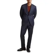 Samuelsohn Contemporary Fit Skarkskin Wool Suit