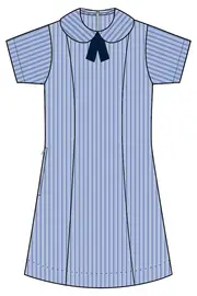 Prep - Yr6 Blue Dress