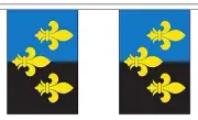 MONMOUTHSHIRE 9 METRE BUNTING 30 FLAGS flag Wales Welsh county