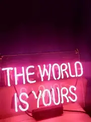 The World Is Yours Pink Acrylic 14" Neon Light Sign Lamp Home Wall Decor House
