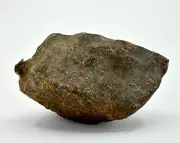 62.2g Winonaite Primitive Achondrite Meteorite - TOP METEORITE