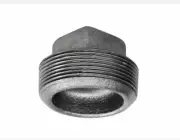Anvil 2 in. MPT Black Malleable Iron Plug, Core SQ HD Plug, Free Shipping