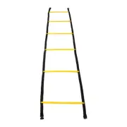 Speed Agility Training Ladder 2.6m Fixed Agility Ladder Speed Training Dp