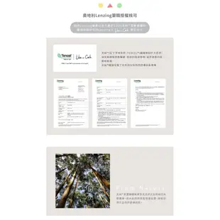 蠟筆小新100%天絲™被套任選 台灣製 Norns 正版授權 蠟筆小新 睡衣 寢具 被子 被套 四季被 吸濕排汗