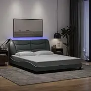 Bed Furniture Bed Frame with LED Without Mattress Dark Grey 152x203 cm Queen Fabric