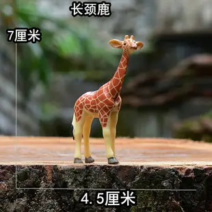 實心仿真動物模型玩具迷你野生動物微景觀青蛙狼獅猴子熊馴鹿麂子