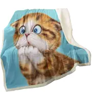 Funny Kittens Worried Ginger Kitty Cat over Blue Throw Blanket