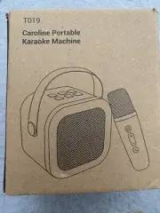 Portable Karaoke Machine with A Wireless Microphone & Speaker