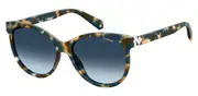 POLAROID-PLD 4079/S/X-CVT-5717-SUNGLASSES