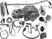 Lifan 150cc Engine Motor Manual for Thumpstar Atomik 110cc 125cc 140cc Dirt Bike