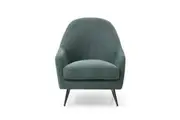 William Arm Chair