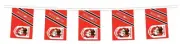 NRL ST GEORGE ILLAWARRA DRAGONS Bunting hanging Flags Banner 5m with 12 flags