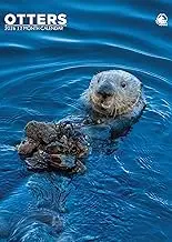 Otters Calendar 2026