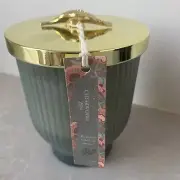 NEW BOTANICAL Light Cedar wood Zen Scented Candle 14oz Glass Metal Gold Leaf Lid