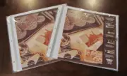 Page Protectors 12" x 12" Top Loading Extension Post from Hobby Lobby 2 Packages