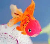 在飛比找樂天市場購物網優惠-假海洋水母魚缸裝飾品仿真孔雀硅膠彩色缸魚魔鬼魚夜光仿真金魚