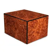 Society Burl 213 Cubic Inches Large/Adult Wood Box Cremation Urn for Ashes