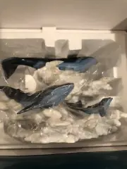 WDCC FANTASIA 2000 'WHALES SOARING IN THE CLOUDS' MIB, COA, Never Displayed #766