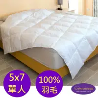 在飛比找momo購物網優惠-【Comfortsleep】5x7尺單人100%羽毛冬被(特