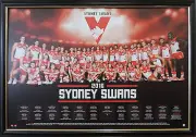 Sydney Swans AFL 2016 Framed Fully Glassed