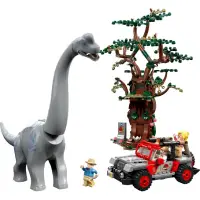 在飛比找蝦皮購物優惠-LEGO 樂高 侏羅紀 公園 世界 76958 76960 