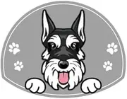 Personalized Stainless Steel Dog ID Tag Name Plate Anti-Lost Pet Name Tag Pendant Custom Engraved Cat and Dog Nameplate Label Pet Collar Supplies Accessories,Schnauzer, Black