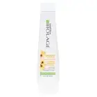 MATRIX BIOLAGE SMOOTHPROOF CONDITIONER 13.5 OZ ~ Old Package ~ New