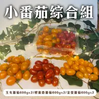 在飛比找台灣好農優惠-食菓子 玉女蕃茄600gx2,橙蜜香蕃茄600gx2,金瑩蕃