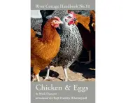 Chicken Eggs by Mr Mark Diacono