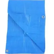 Kaps Tex KT-LT1012B Storage Tarp Cover, Light Blue Polyethylene, 10 x 12-Ft. -