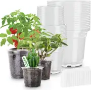 PEYOU 48 Packs 5/4/3.5 Inch Reinforced Clear Nursery Pots with Drainage Hole,