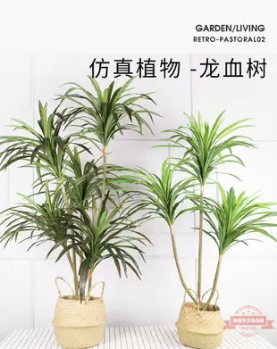 仿真龍血鐵樹盆栽家居裝飾大型仿真植物室內人造綠植擺件