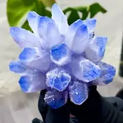 226G New Find sky BLUE Phantom Quartz Crystal Cluster Mineral Specimen Healing
