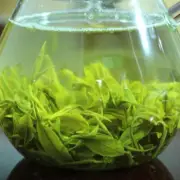 Top New Spring Loose Leaf Biluochun Green Tea Premium Chinese Green Tea Organic