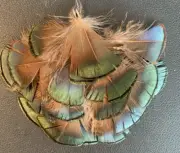 50pcs 4-5cm Amherst Natural Green Real Pheasant Feathers DIY Craft Fly Fishing