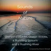 SOUNDS OF NATURE BRING OUTSIDE, INSIDE OCEANS BEACH RIVER STREAMS CD/FREE MP3