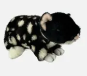 ~❤️~BOCCHETTA Eastern Quoll POLKA 22cms 8.5" Plush Soft Toy Australian Native❤️