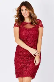 Lace Mesh Panel Dress--MEI-VD334