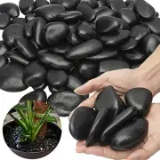 Black River Rocks - Large Polished Black Pebbles for Plants & Garden