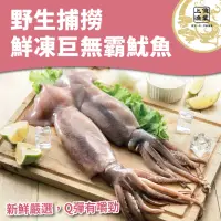 在飛比找momo購物網優惠-野生捕撈鮮凍巨無霸魷魚