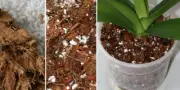 COCONUT HUSK CHIPS FOR ORCHID ANTHURIUM & OTHER PLANTS 100% ORGANIC 100g PACKETS