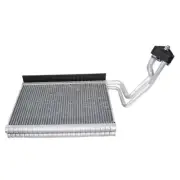 Rein A/C Evaporator Core for BMW ACE0278R (for: BMW)