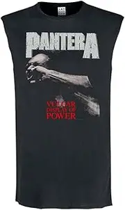 [Amplified] Mens Vulgar Display Of Power Pantera Sleeveless Tank Top