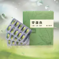 在飛比找ETMall東森購物網優惠-【太極石】穿蒲魚複方精萃 30粒/盒 (穿心蓮 蒲公英 魚腥