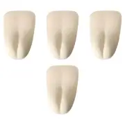 4 Pieces Camel Toe Concealer Accessories Anti Camel Toe Covers for Leggings Yoga