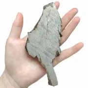 405.0g Muonionalusta meteorite slice TC13