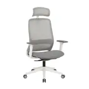 Dian High Mesh Back Molded Foam Seat Ergonomic Computer Office Working Chair Grey